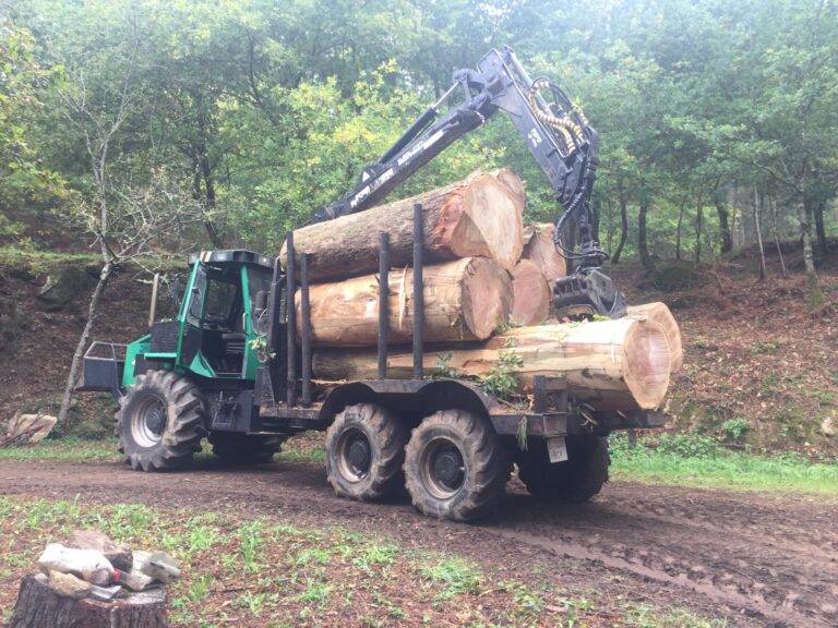 trabajos forestales