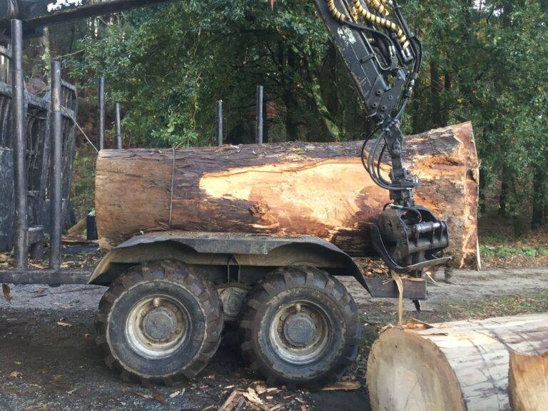transporte de madera Galicia