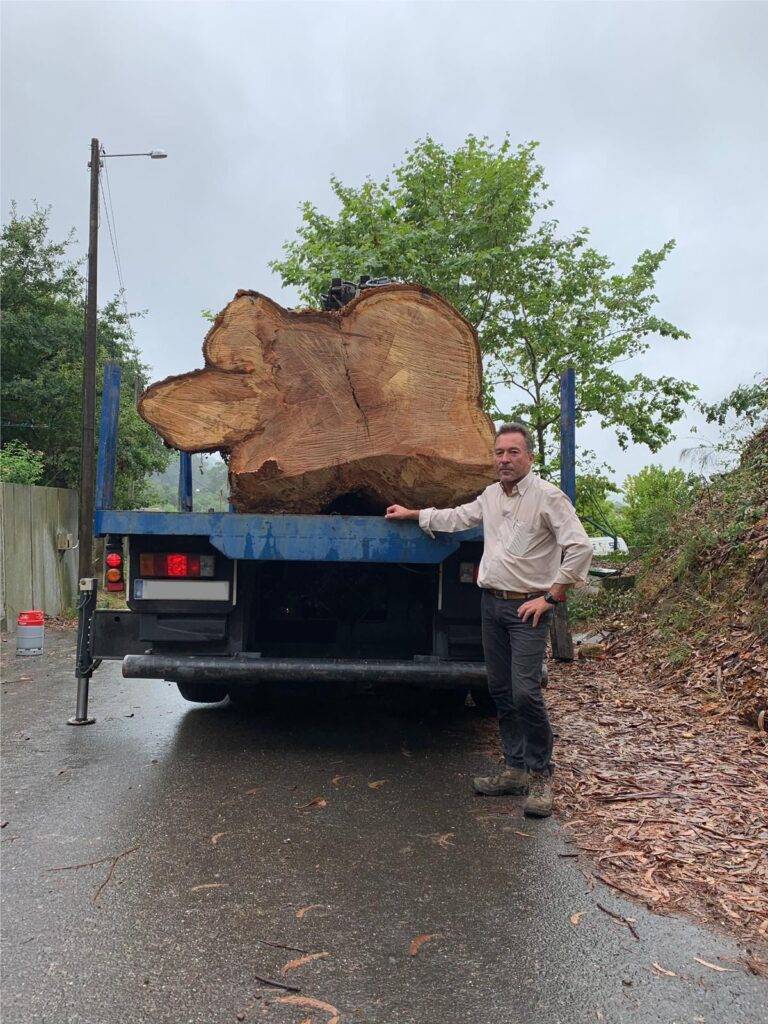 Trabajos forestales Pontevedra